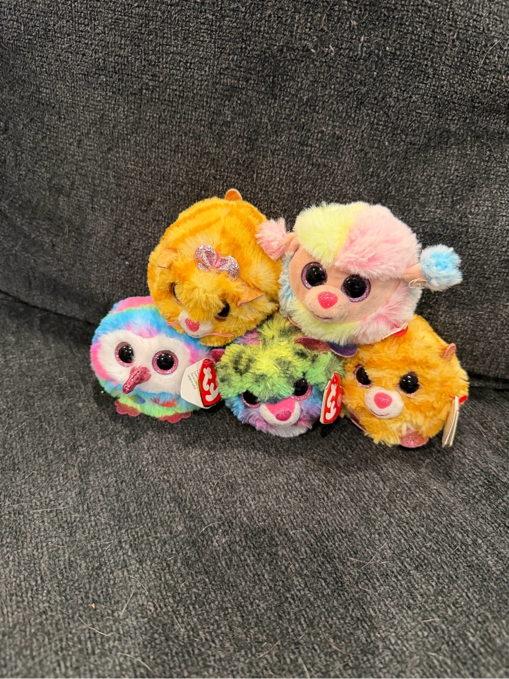 TY Puffies lot